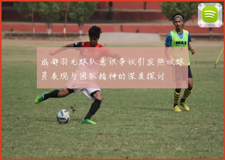 成都羽毛球队意识争议引发热议球员表现与团队精神的深度探讨