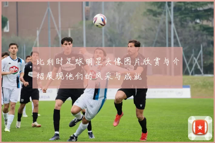 比利时足球明星头像图片欣赏与介绍展现他们的风采与成就