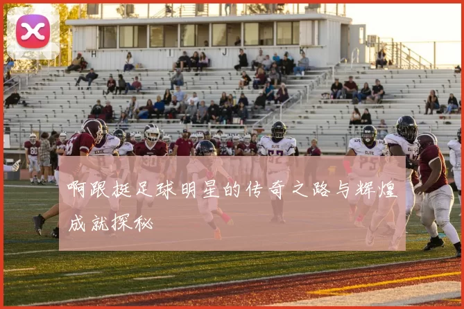 啊跟挺足球明星的传奇之路与辉煌成就探秘
