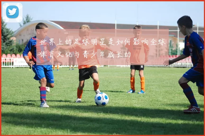 世界上的足球明星是如何影响全球体育文化与青少年成长的
