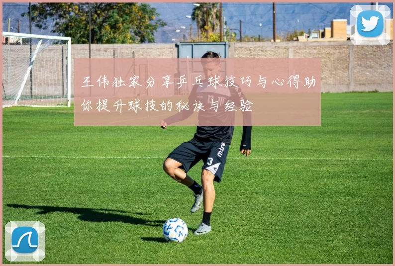 王伟独家分享乒乓球技巧与心得助你提升球技的秘诀与经验