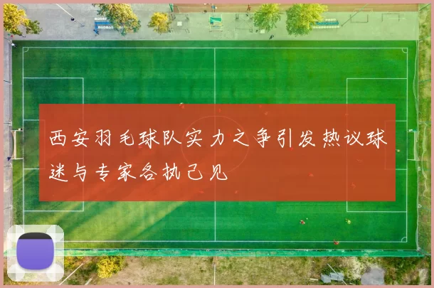 西安羽毛球队实力之争引发热议球迷与专家各执己见