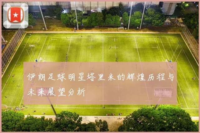 伊朗足球明星塔里米的辉煌历程与未来展望分析