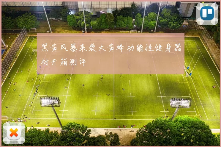 黑黄风暴来袭大黄蜂功能性健身器材开箱测评