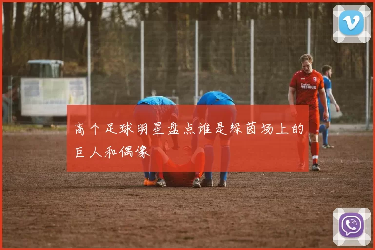 高个足球明星盘点谁是绿茵场上的巨人和偶像