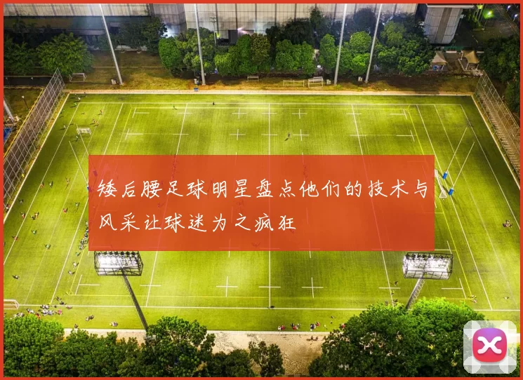 矮后腰足球明星盘点他们的技术与风采让球迷为之疯狂