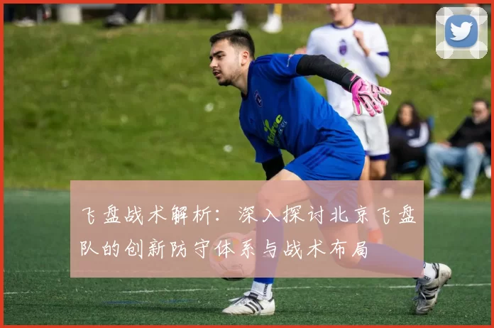 飞盘战术解析：深入探讨北京飞盘队的创新防守体系与战术布局