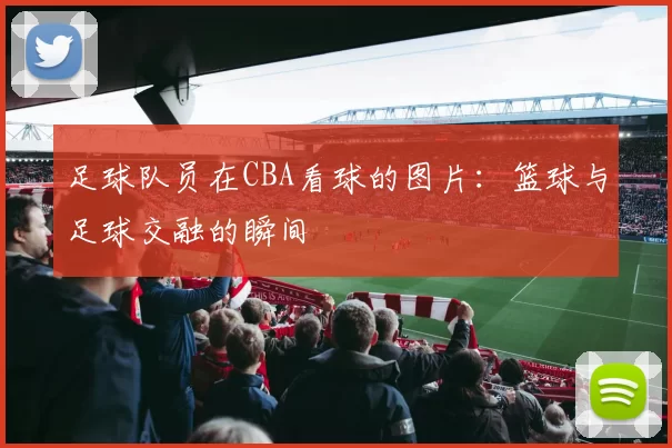 足球队员在CBA看球的图片：篮球与足球交融的瞬间