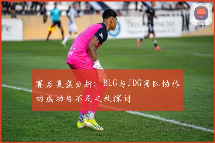 赛后复盘分析：BLG与JDG团队协作的成功与不足之处探讨