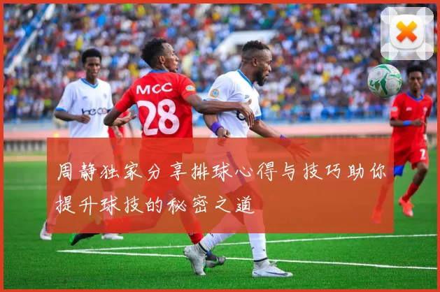 周静独家分享排球心得与技巧助你提升球技的秘密之道