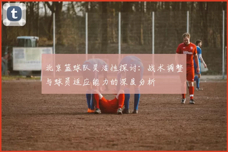 北京篮球队灵活性探讨：战术调整与球员适应能力的深度分析