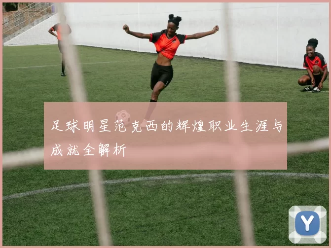 足球明星范克西的辉煌职业生涯与成就全解析