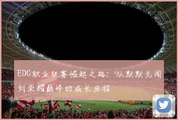 EDG职业联赛崛起之路：从默默无闻到荣耀巅峰的成长历程