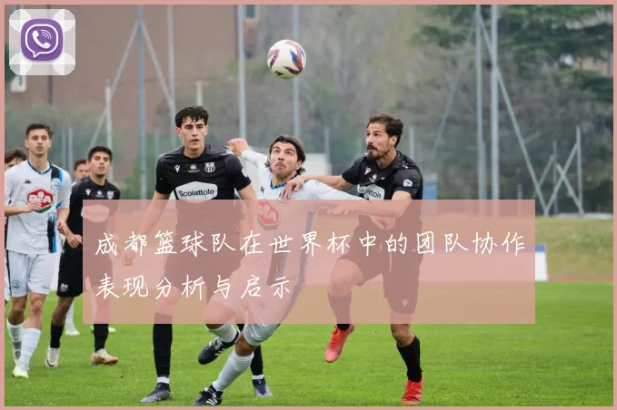 成都篮球队在世界杯中的团队协作表现分析与启示