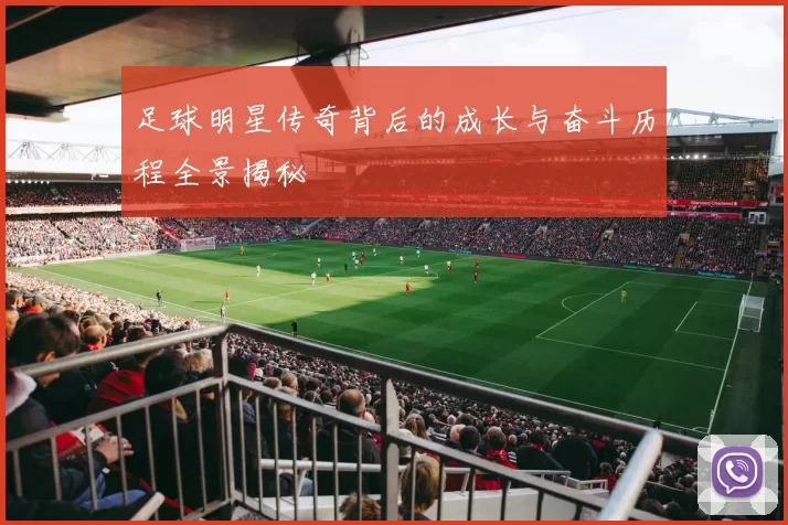 足球明星传奇背后的成长与奋斗历程全景揭秘