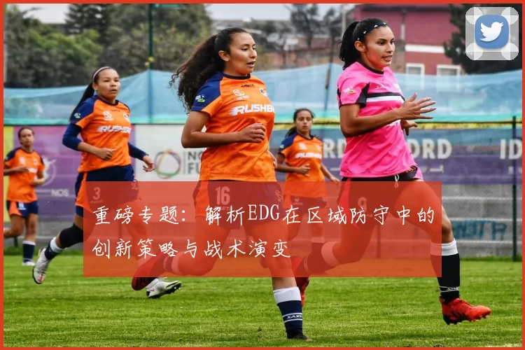 重磅专题：解析EDG在区域防守中的创新策略与战术演变